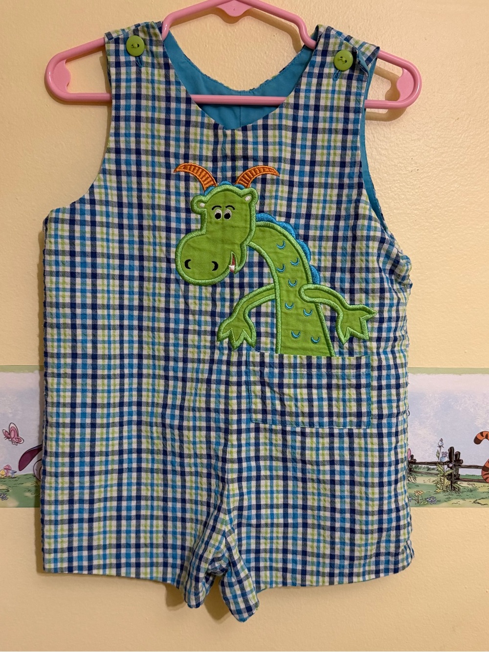 Y2K/vintage Austin & Ashley dragon gingham Jon Jon